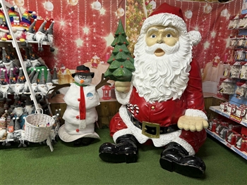 Northallerton & Arcadia Xmas Day Trip 2026